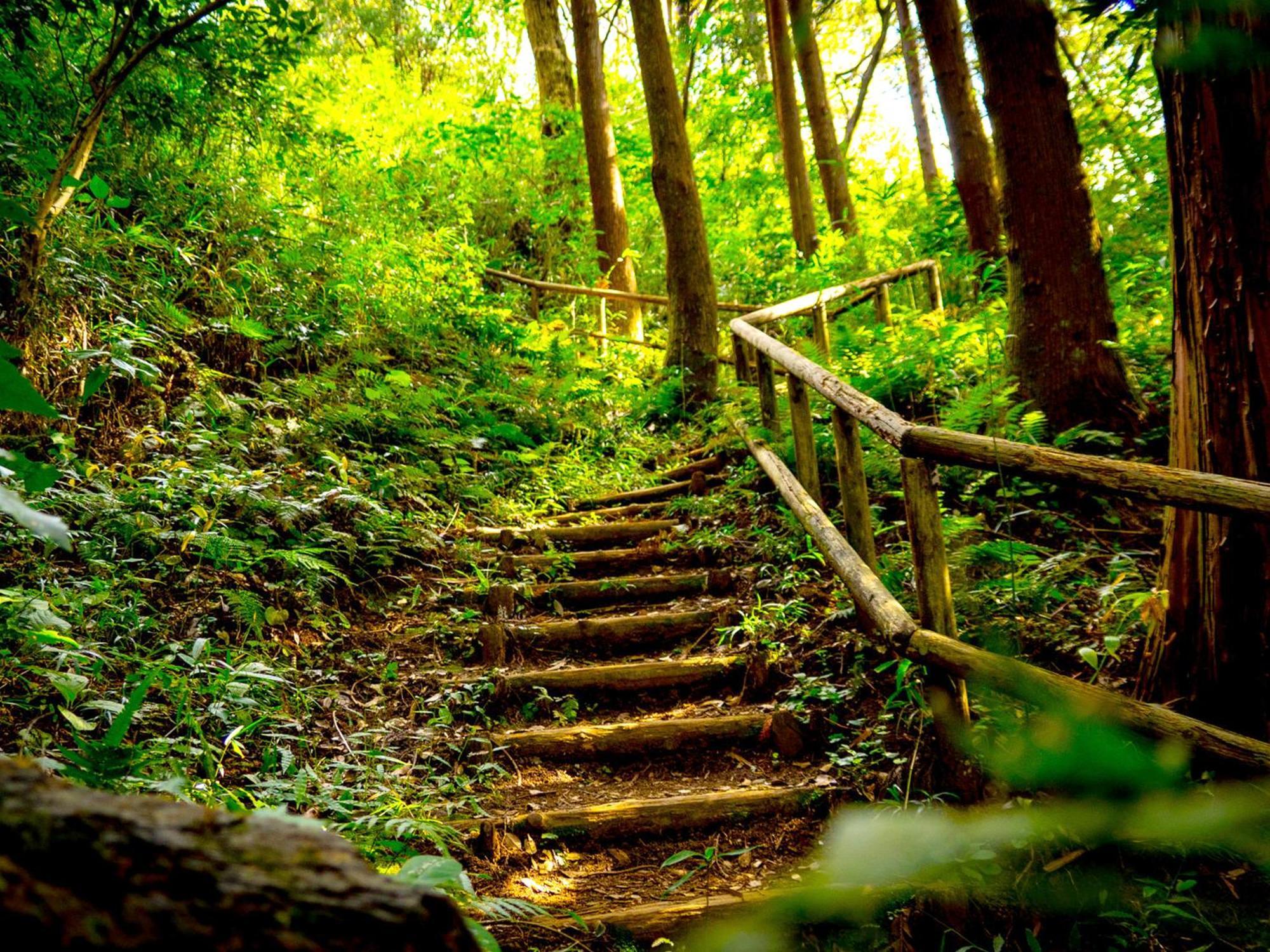 Готель Kita-Kamakura 520 Екстер'єр фото