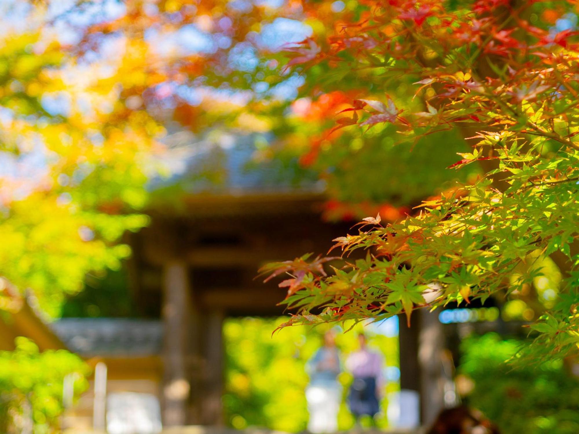 Готель Kita-Kamakura 520 Екстер'єр фото